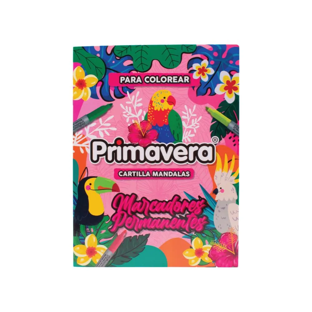 Combo Marcador Permanente X20 +Cartuchera