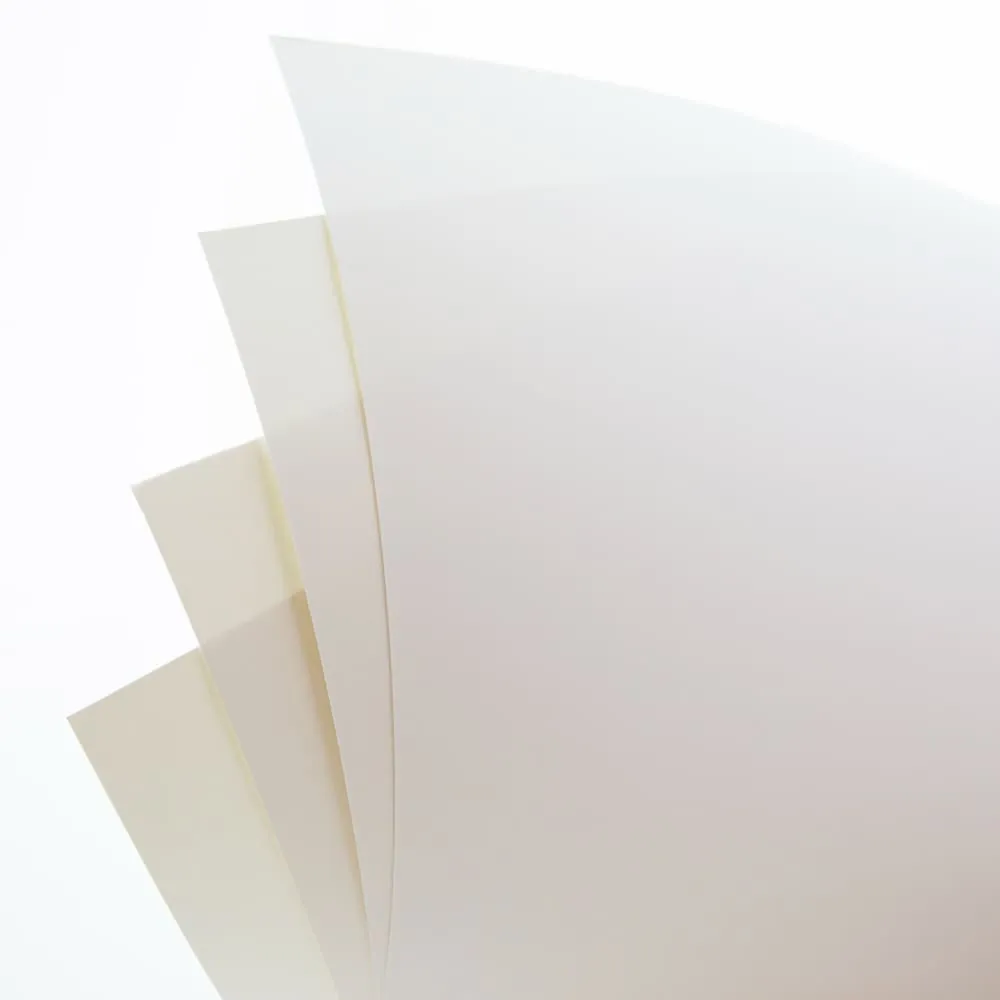 Papel Manualidades